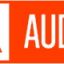 AUDIT