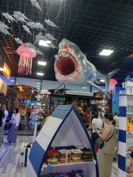 img_20250607_194920